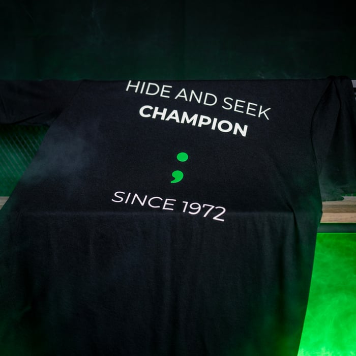 Hide and Seek Champion image