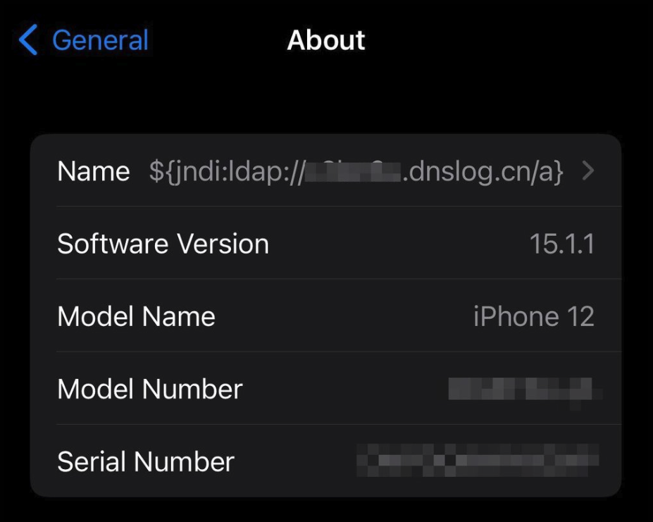 An iPhone device information screen with name changed to contain the exploit string. Image: Cas van Cooten / Twitter